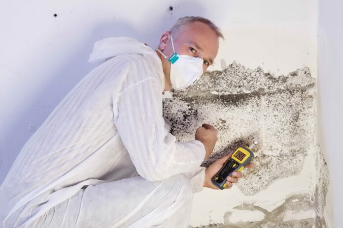 Mould Inspection Report Sydney