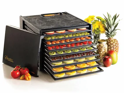 Best Food dehydrator